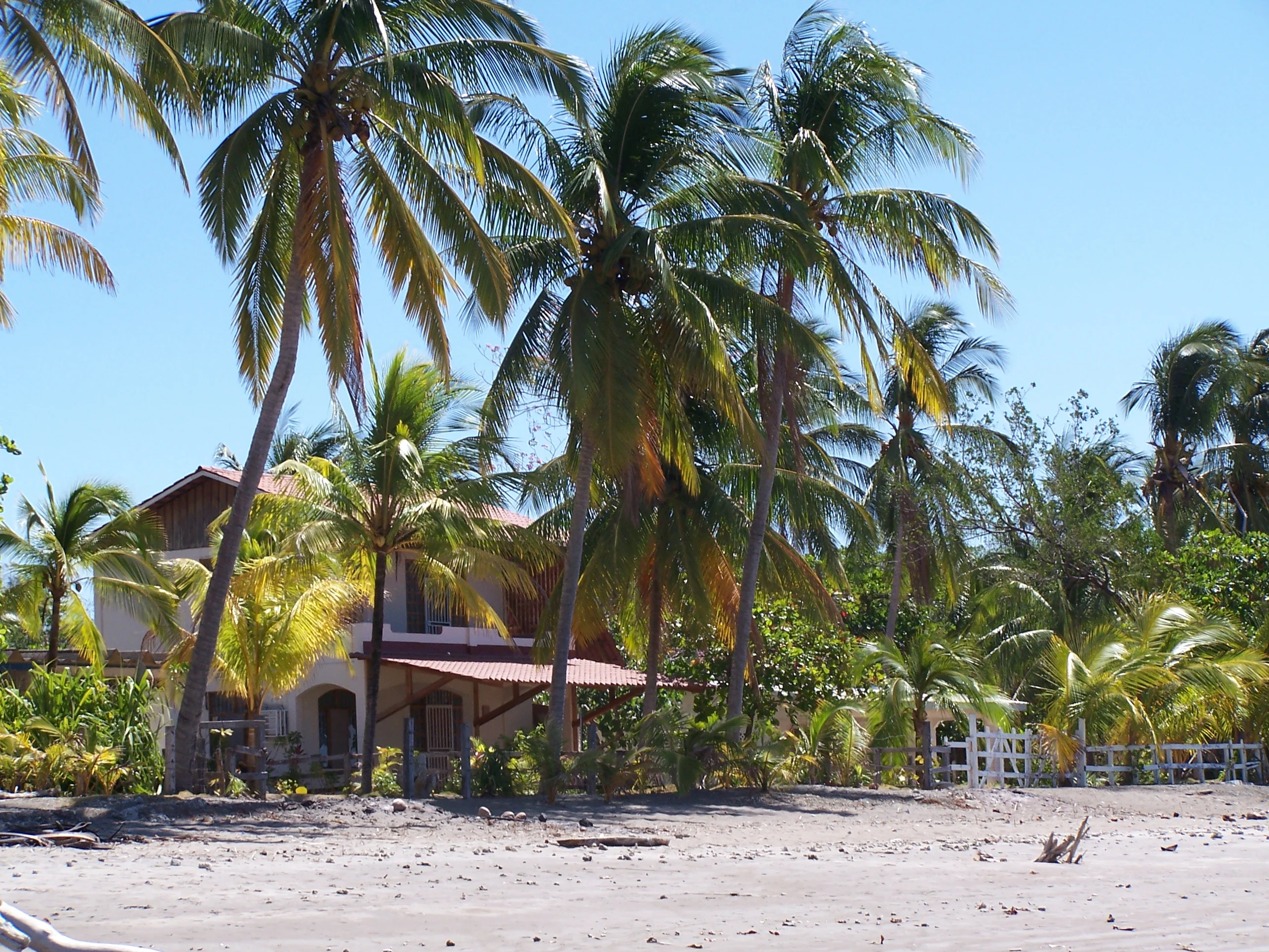 panama burwash 018.webp