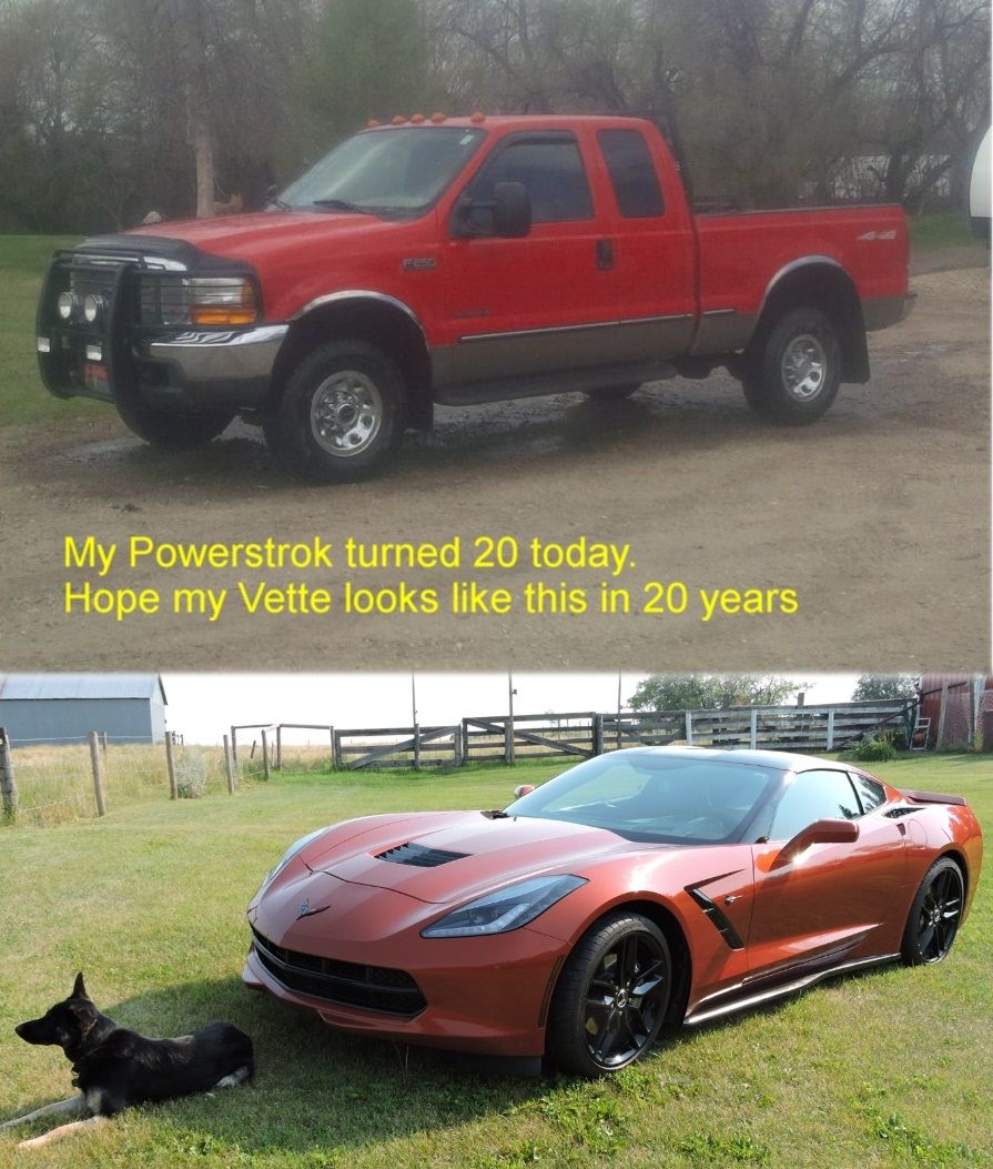 Rruuffs truck.JPG