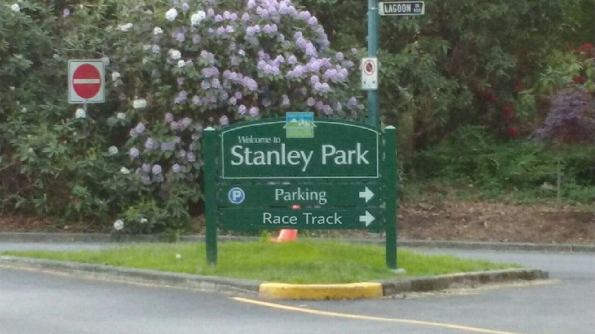 scaled_image (2).jpg