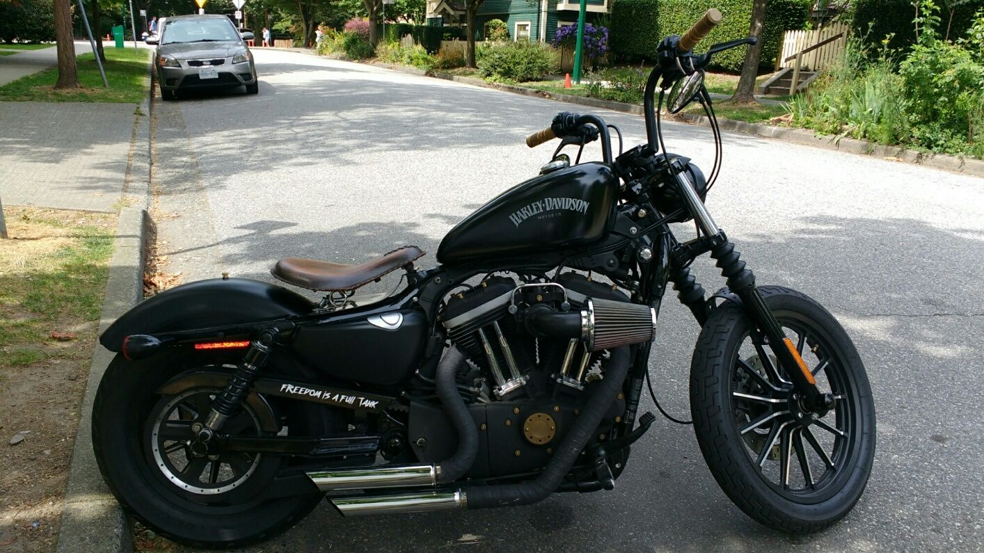 scaled_image (23).jpg