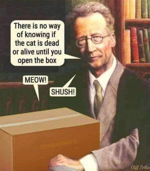 schroedinger.webp