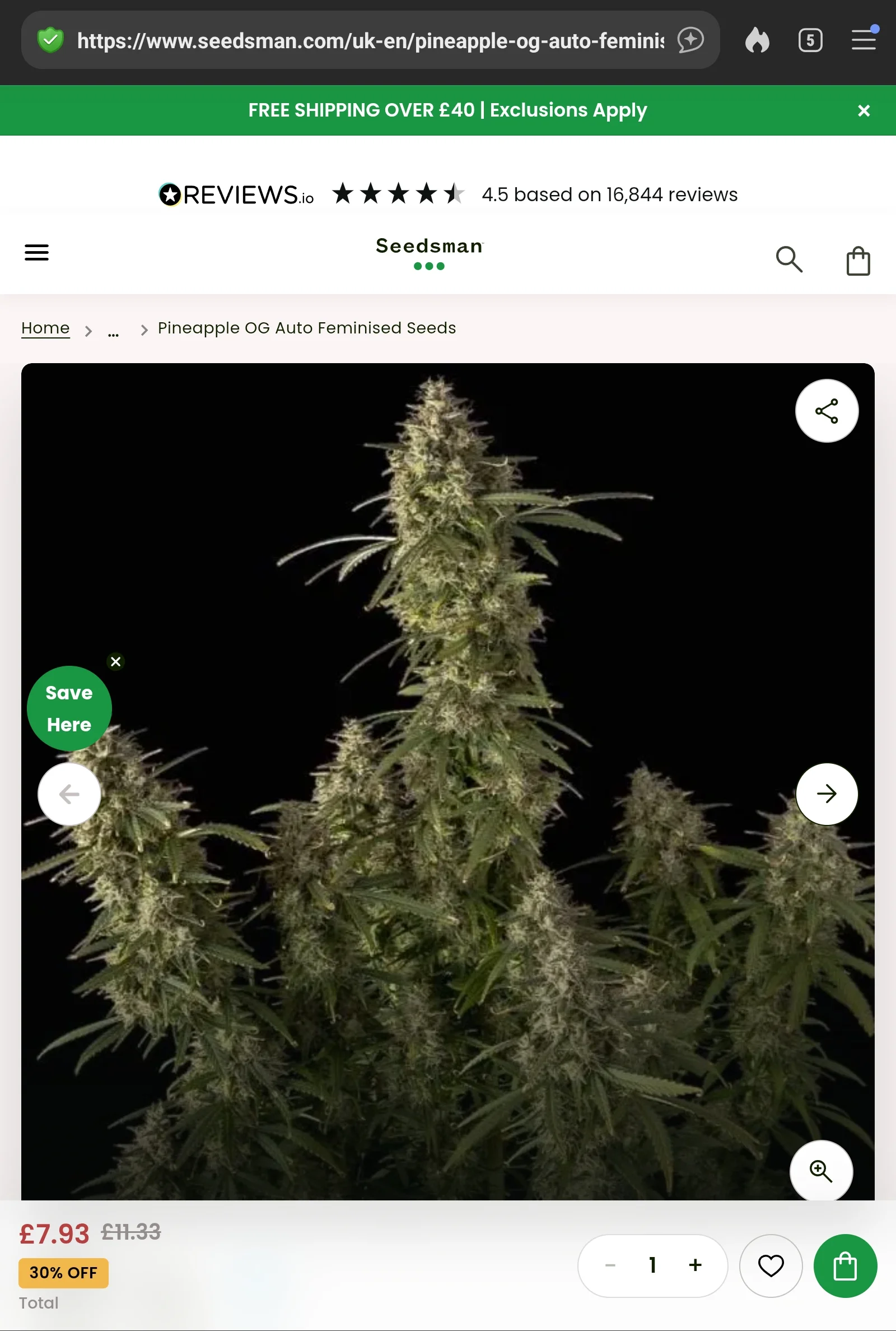 Screenshot_20260816_194430_DuckDuckGo.webp