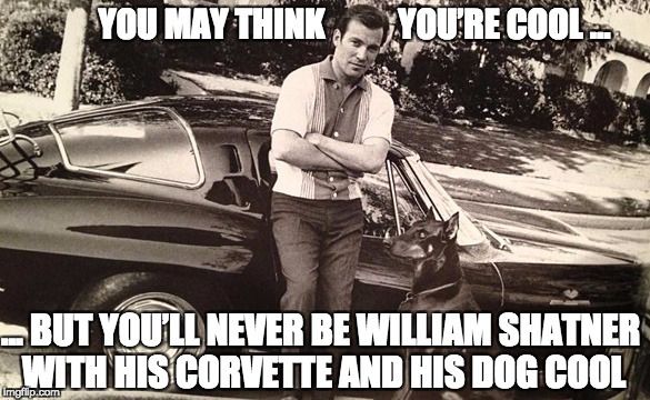 shatner-corvette-dog-meme.jpg