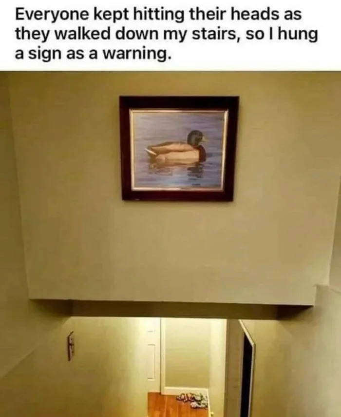 Sign-so-people-dont-hit-their-heads.webp