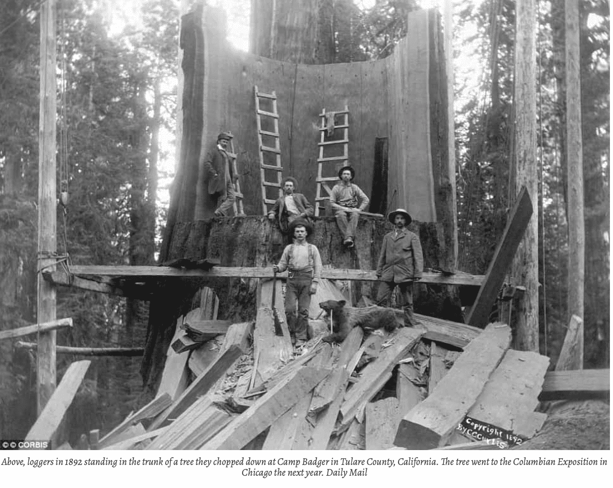 Skärmavbild 2021-11-28 kl. 16.41.52.png