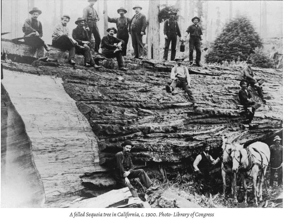 Skärmavbild 2021-11-28 kl. 16.43.13.png