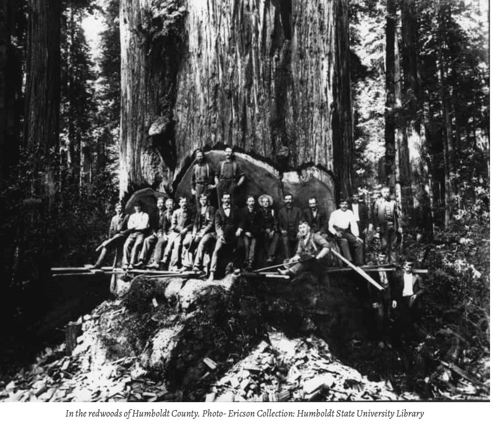 Skärmavbild 2021-11-28 kl. 16.43.25.png