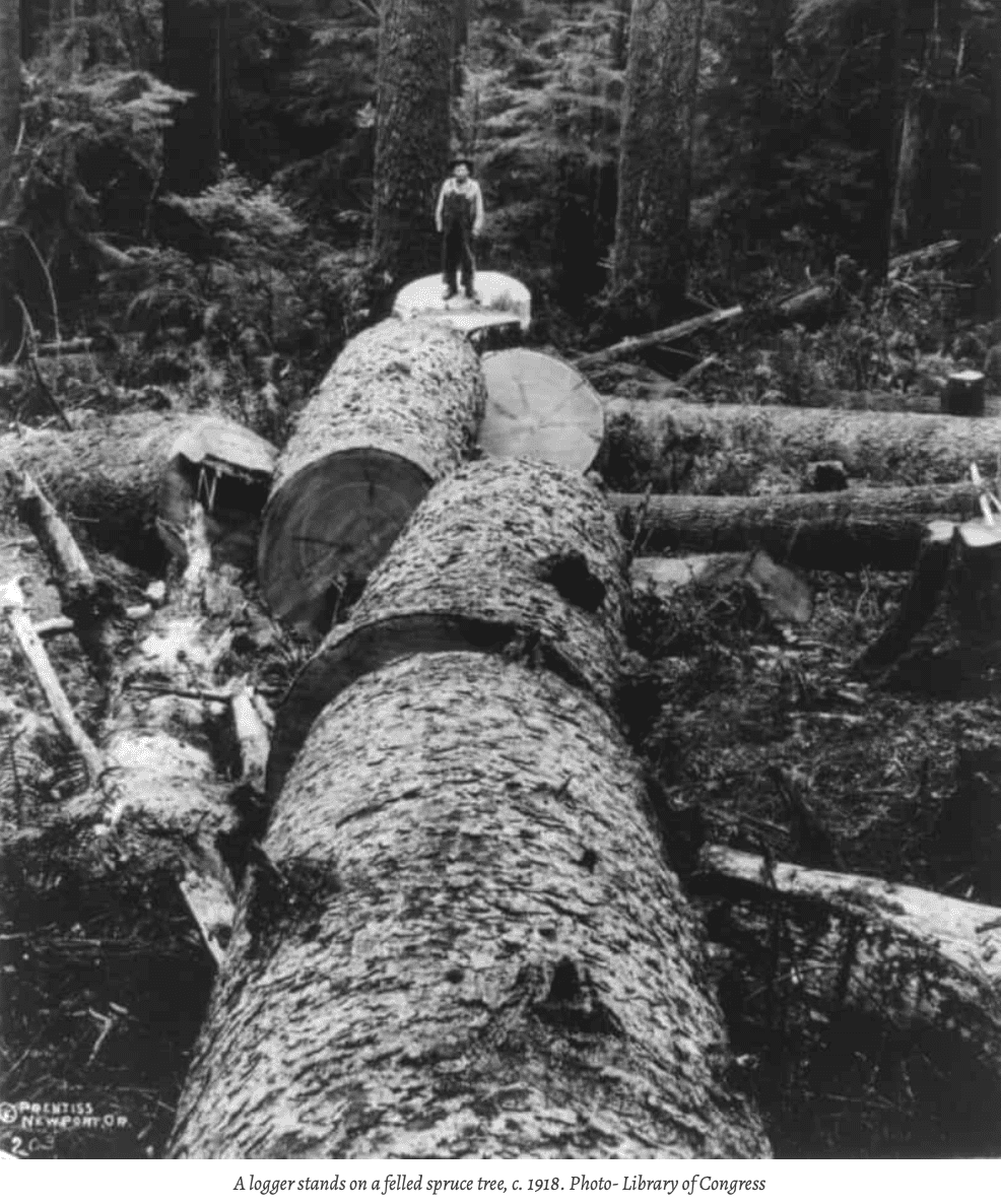 Skärmavbild 2021-11-28 kl. 16.43.49.png