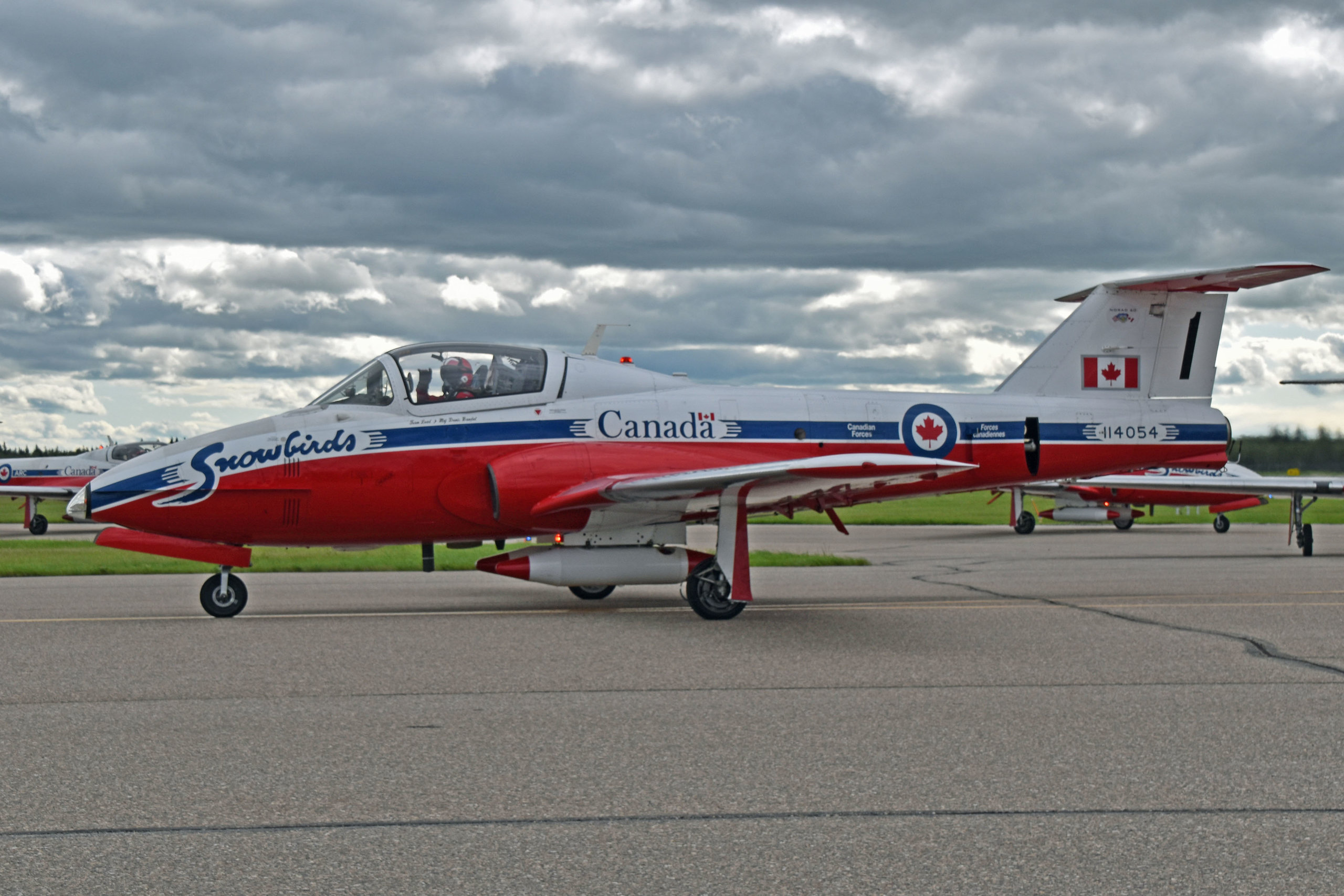 snowbirds-01.jpg