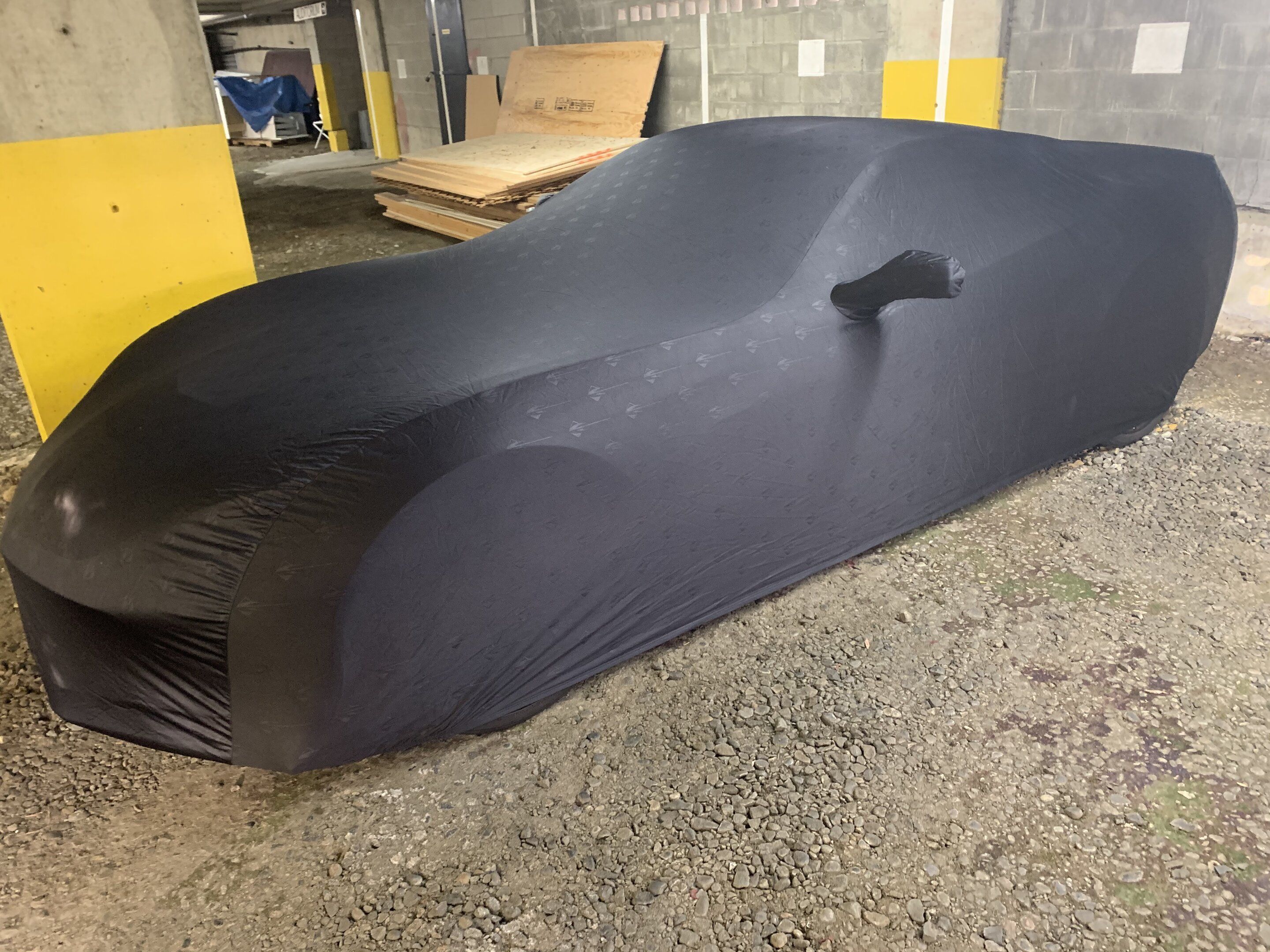 stored corvette.jpg
