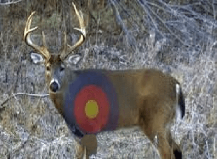 targetdeer.png