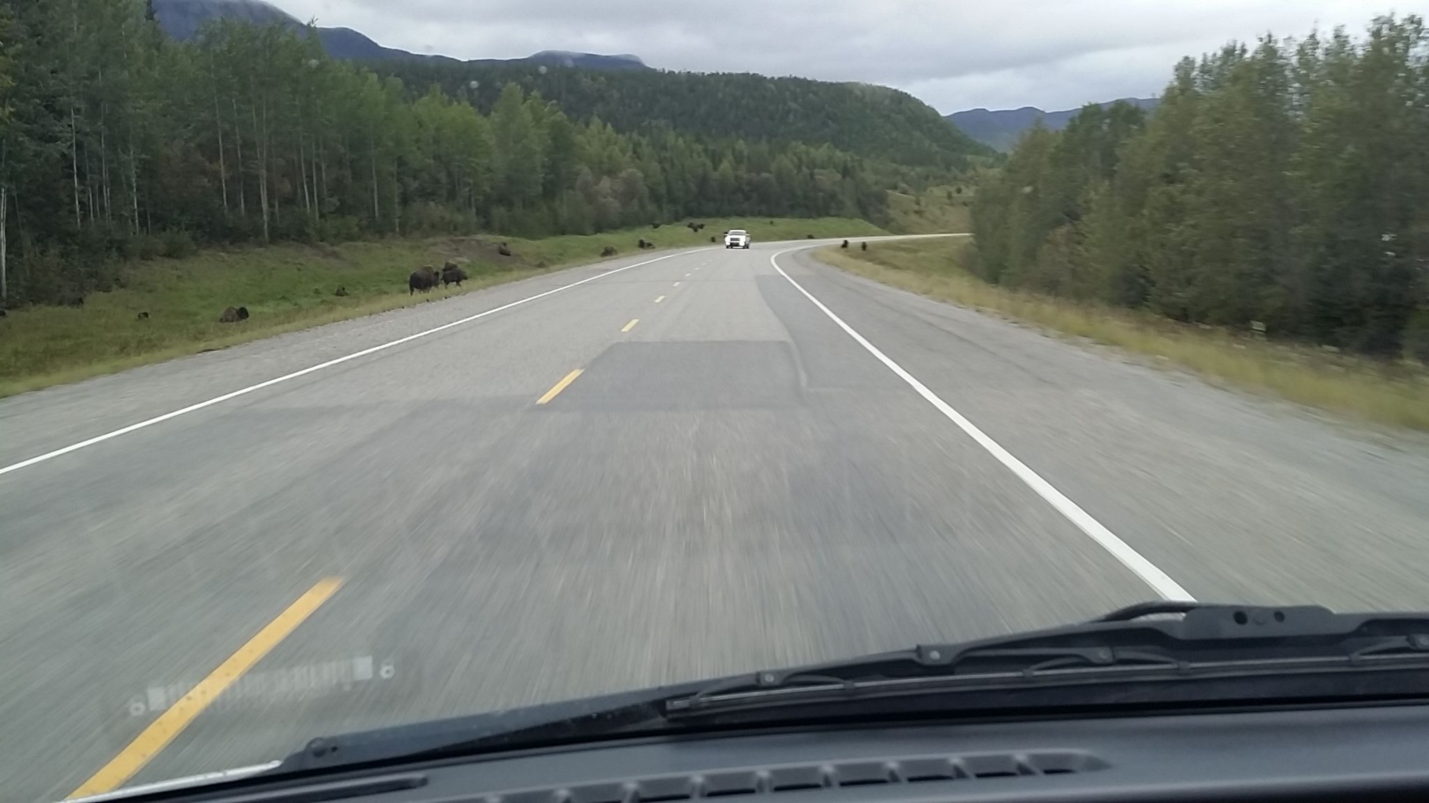 ustripaug16 (486).jpg