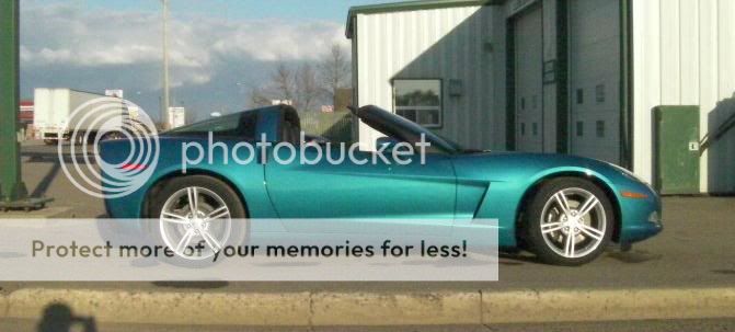 2010vette03.jpg