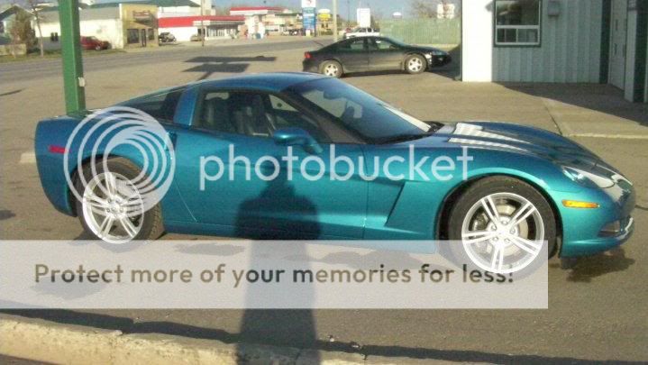 2010vette02.jpg